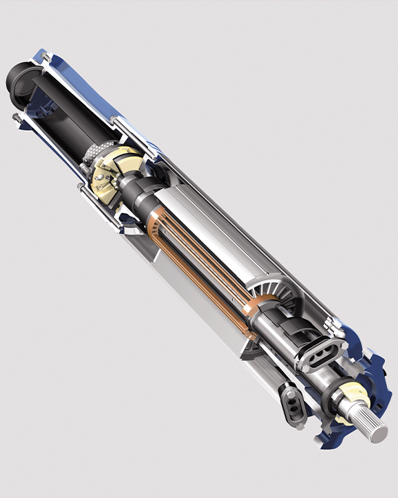 electric motor in electric submersible pumps